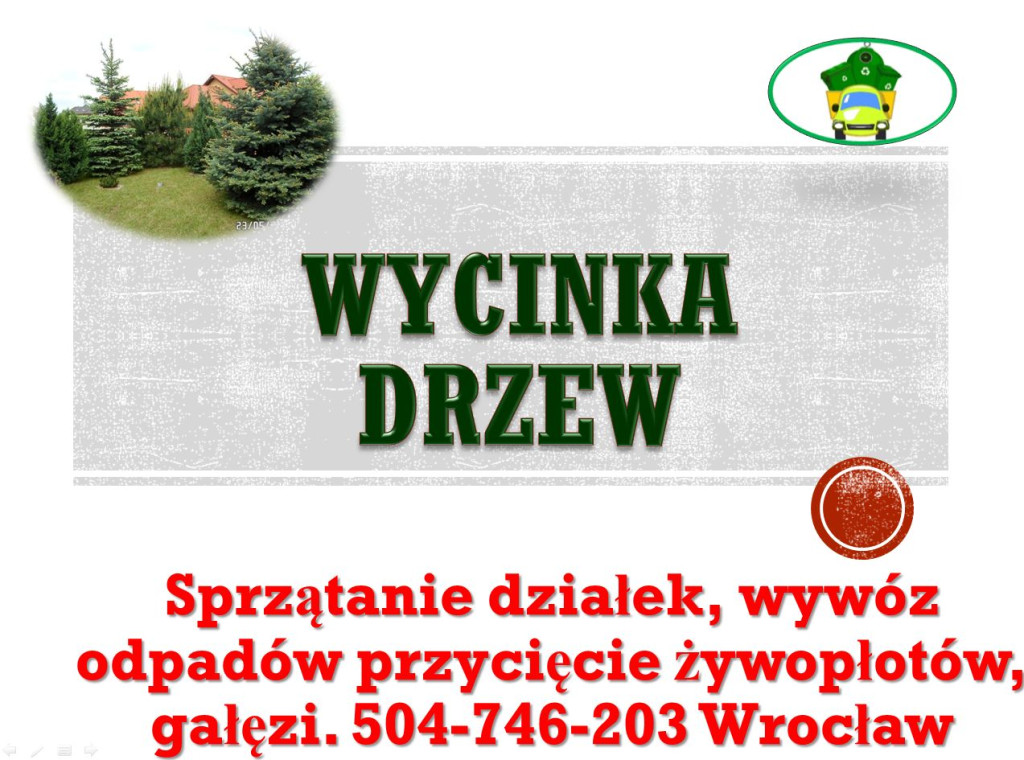 Wycinka drzewa, tel 504-7...