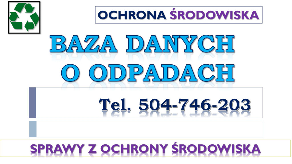 BDO dla warsztatu samocho...