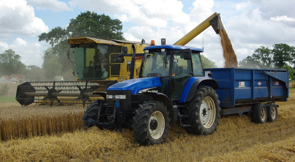 Jakie formalności są wyma...