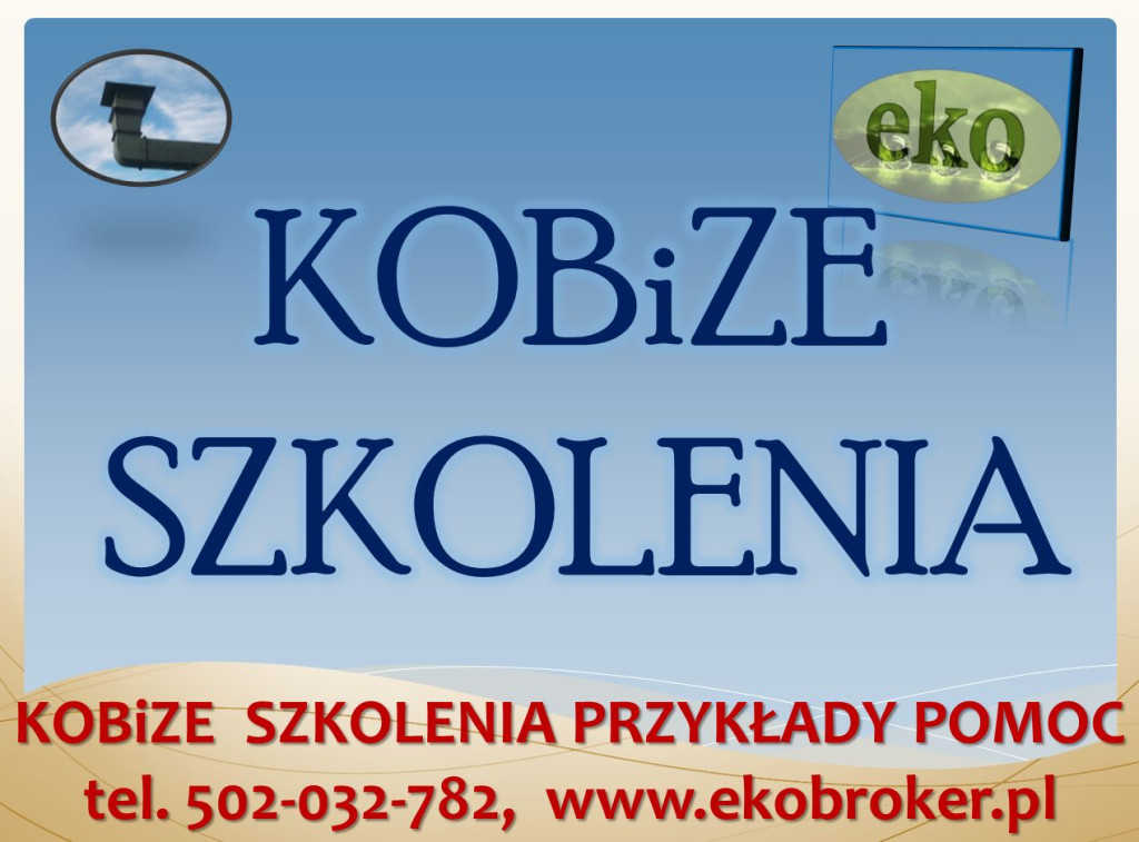 Szkolenie z raportu Kobiz...