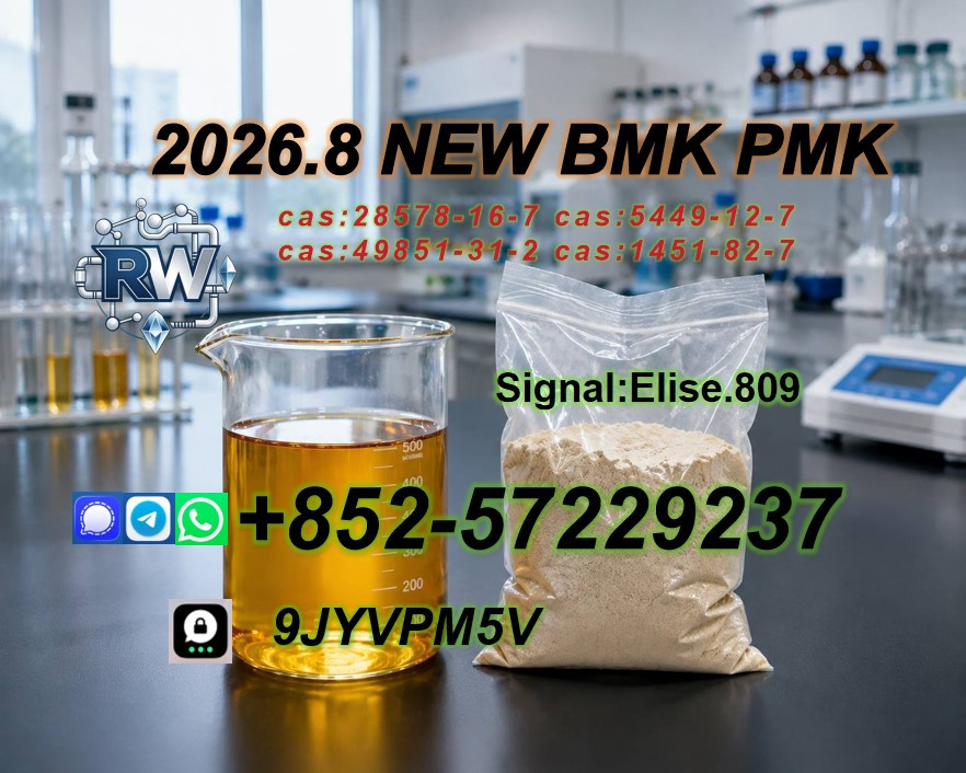 PMK Oil Powder CAS 28578-...