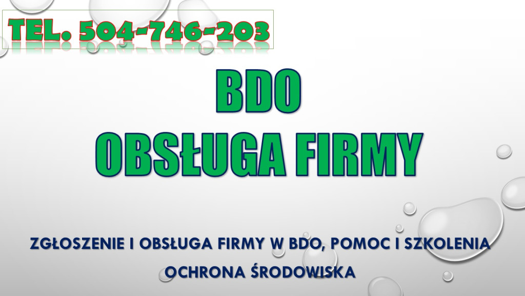 BDO dla firmy budowlanej....