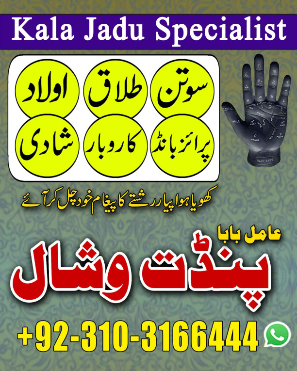Amil Baba Black Magic Exp...