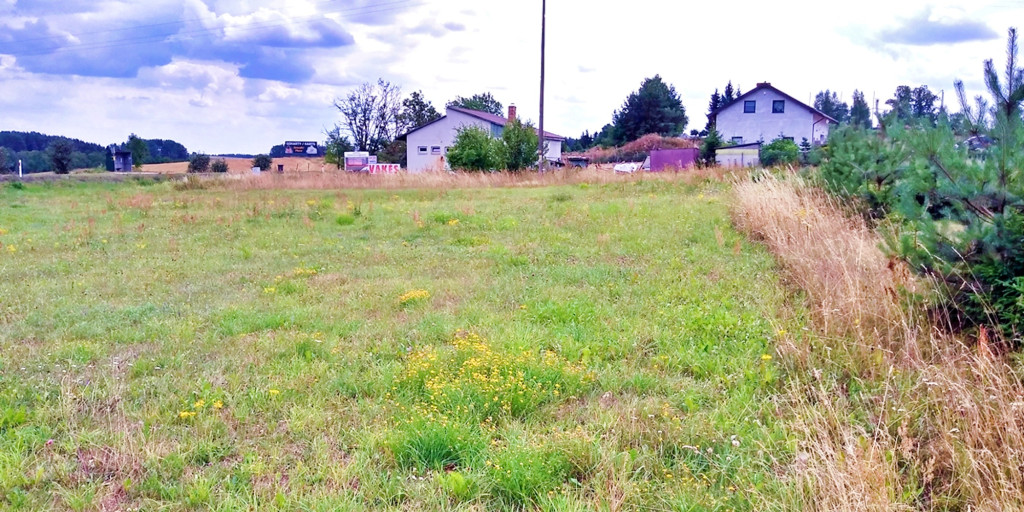 Żubryn, gm. Szypliszki -...