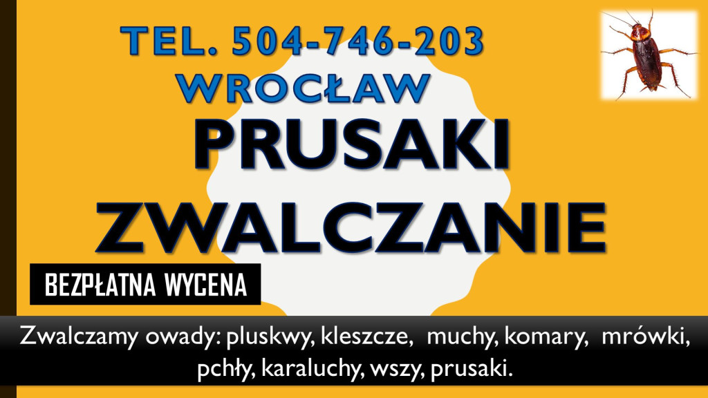 Dezynfekcja na prusaki te...