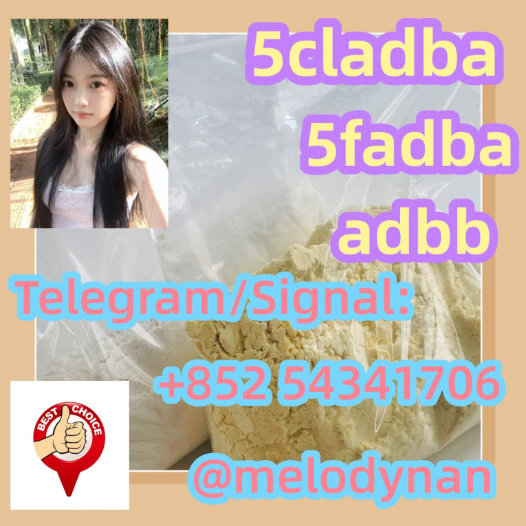 5Cladba 5Cladba Yellow Ca...
