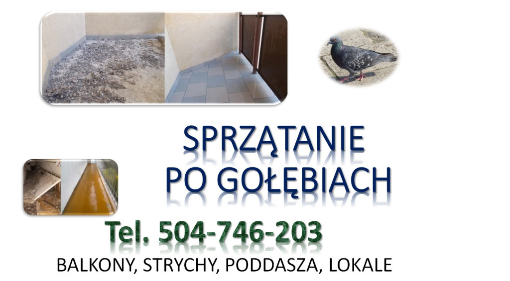 Dezynfekcja po gołębiach,...