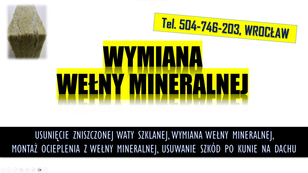 Naprawa szkód po kunie, t...