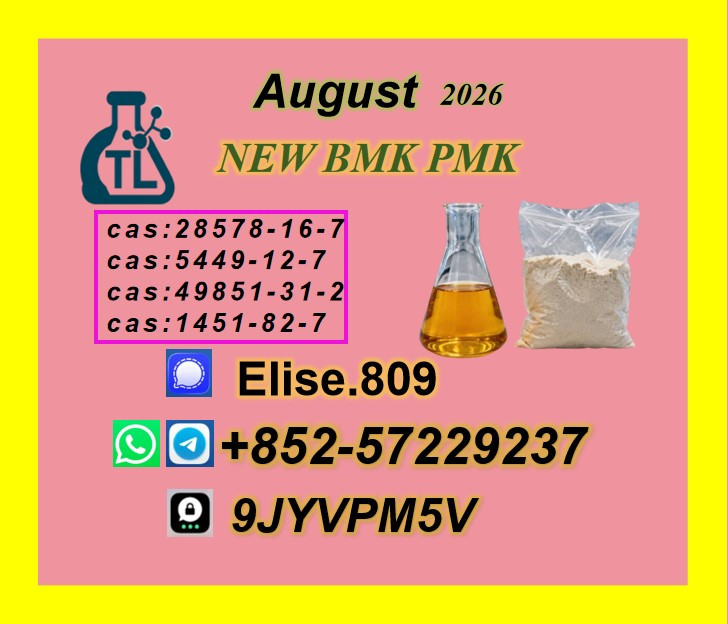 Premium High Quality // C...