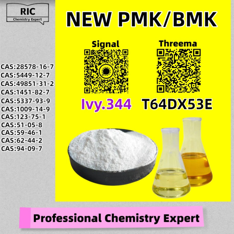 Global Export Supplier P....