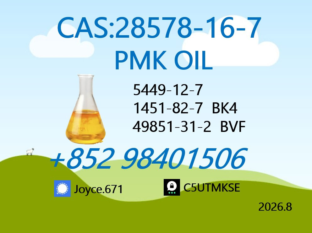 CAS 28578-16-7 PMK Oil So...