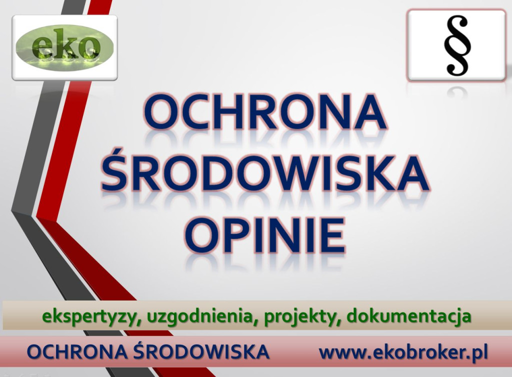 Analiza ochrony środowisk...