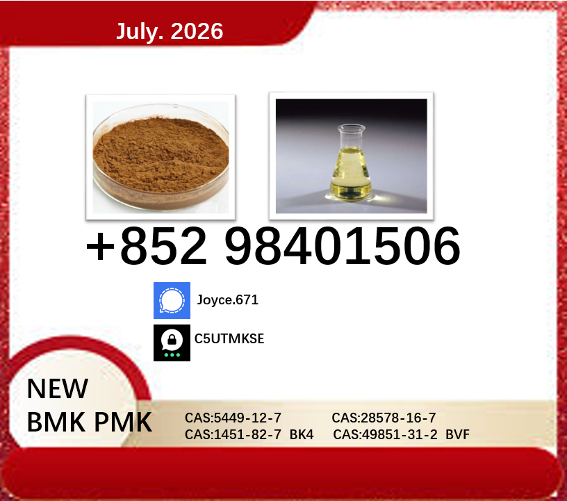 Factory supply BMK cas 54...