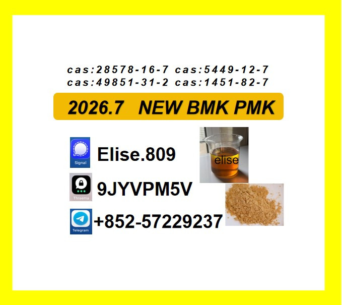 CAS 28578-16-7 BMK Indust...