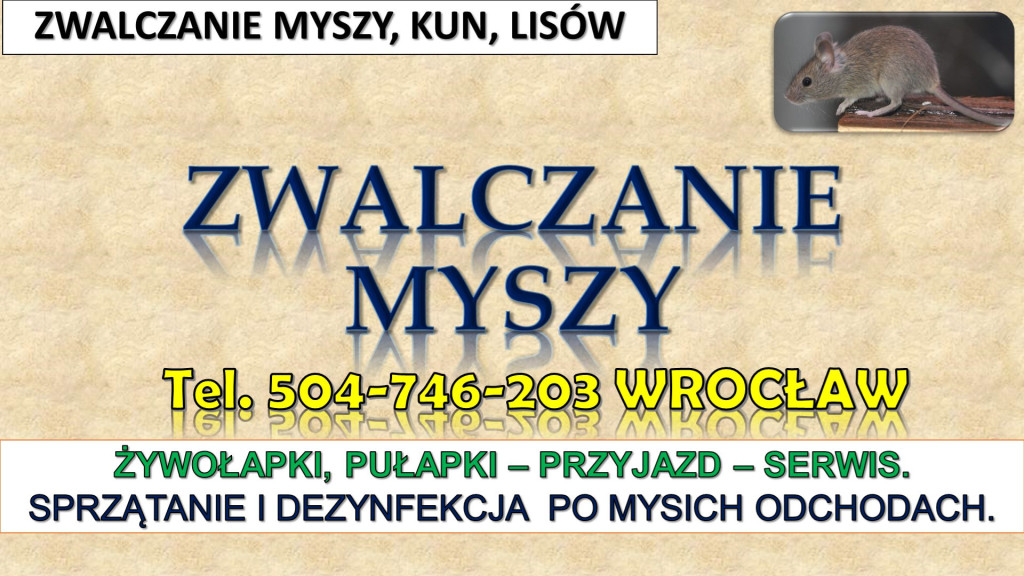 Zwalczanie myszy, Wrocław...