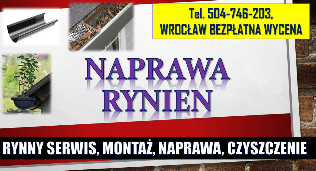 Wypłaszanie gołębi, zwalc...