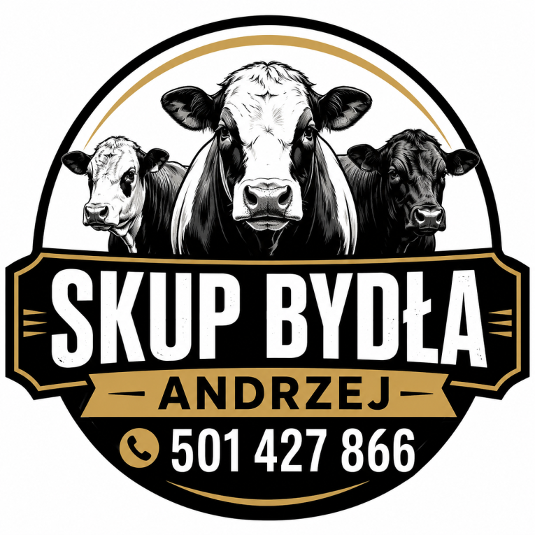 Skup bydła, każda sztuka...
