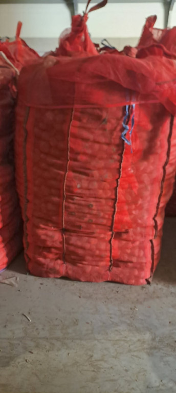 Ziemniaki - TANIO!!!