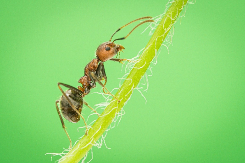 Wykonanie inwentaryzacji...