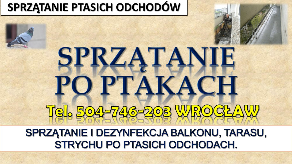 Oczyszczanie z odchodów g...