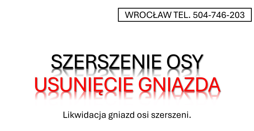 Szerszenie osy, zwalczani...