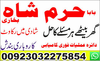 lost love back astrologer...