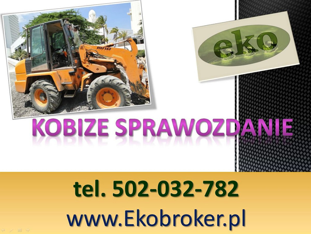 Wprowadzenie raportu, Kob...