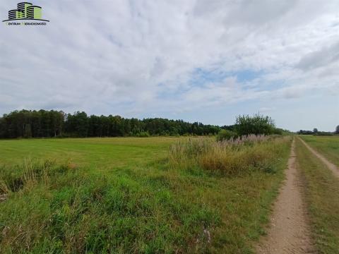 -Działka Michałowo-