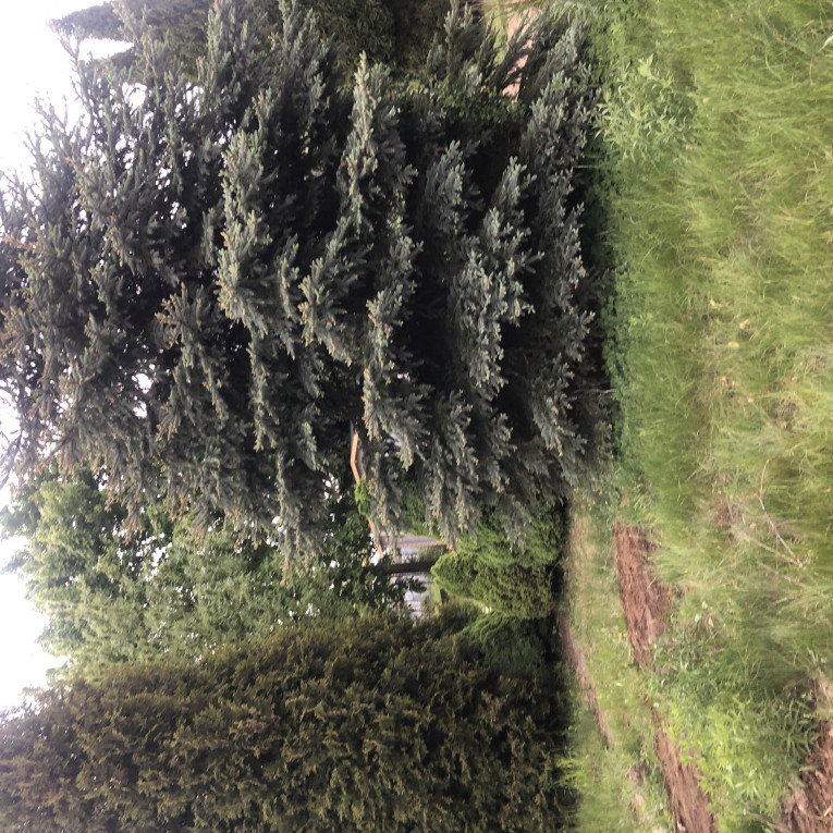 rod rekreacyjna działka 2...