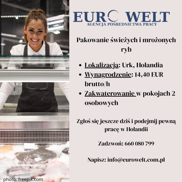 Holandia/ Pakowanie śwież...