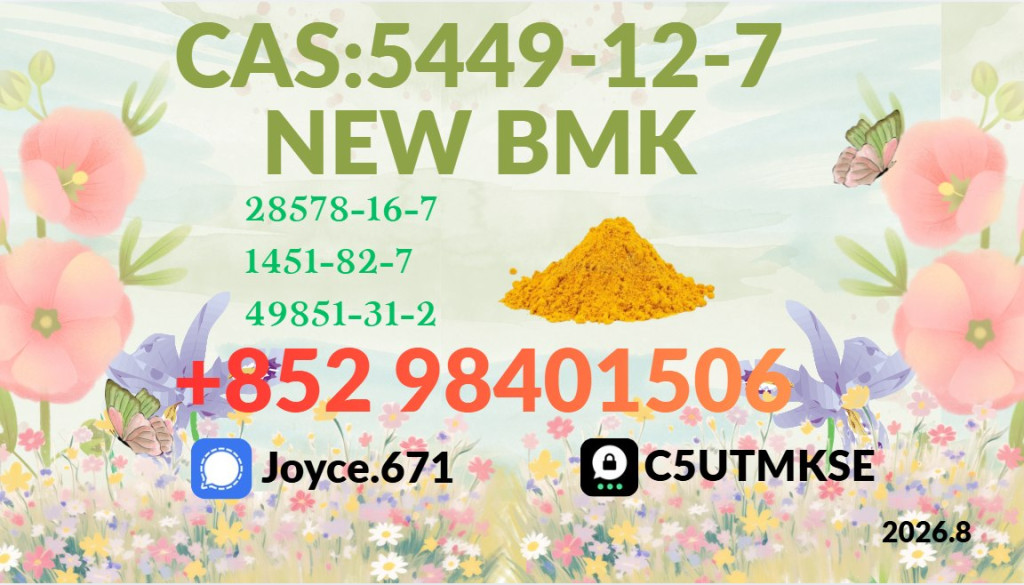 BMK Powder CAS 5449-12-7...