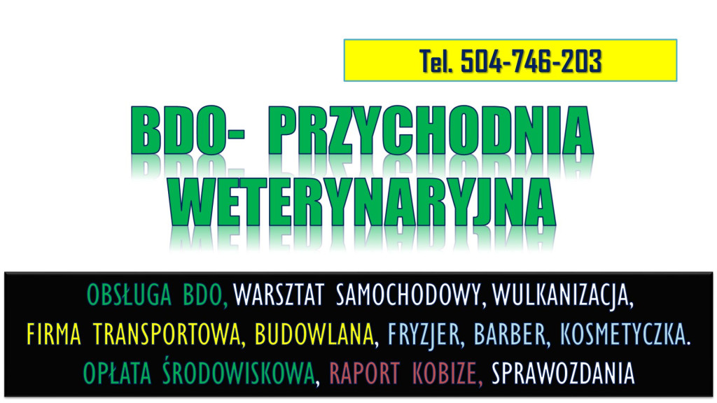 Raport BDO dla gabinetu w...