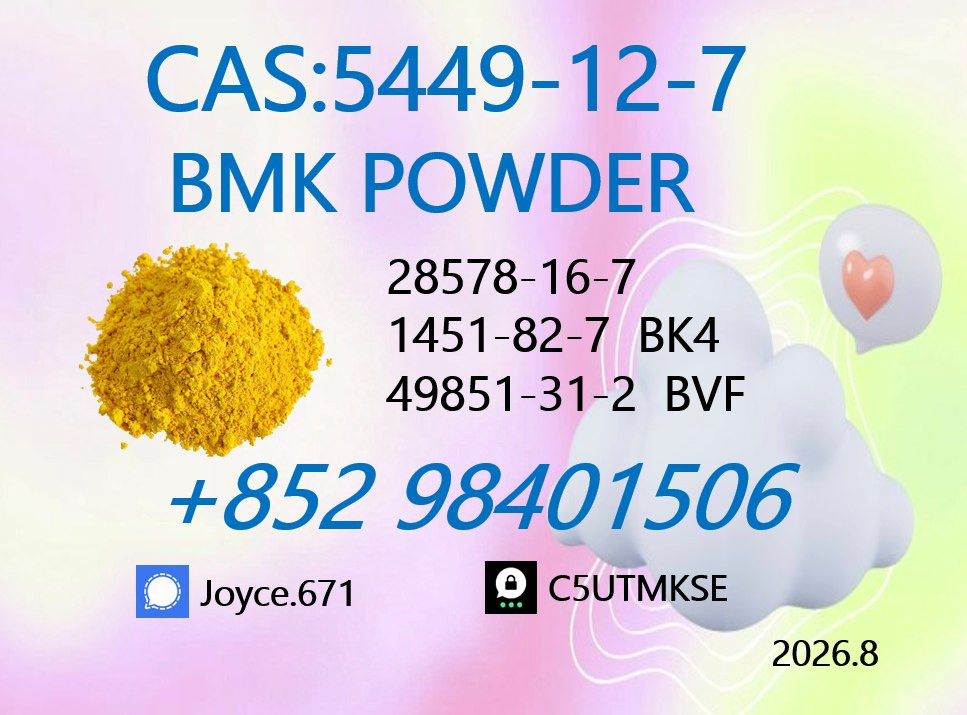CAS 5449-12-7 BMK Sodium...