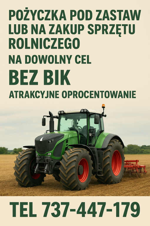 Pożyczka pod zastaw pojaz...