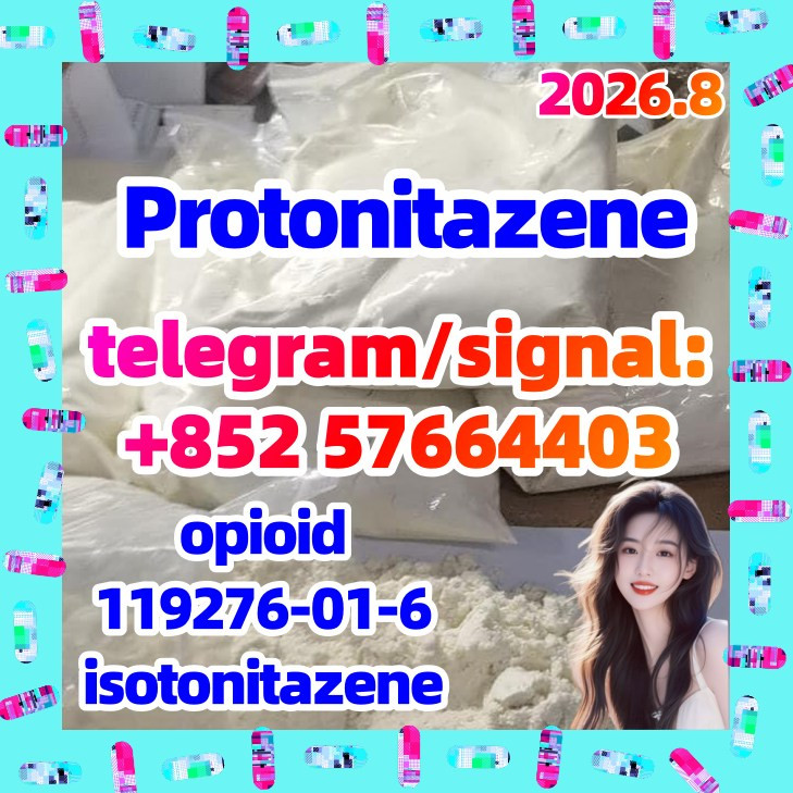 CAS 119276 01 6 Protonita...