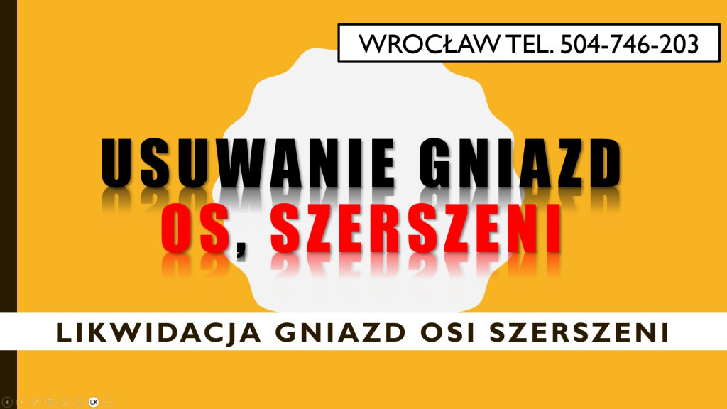 Usuwanie gniazd szerszeni...