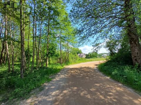 *Halickie-885mkw*- Warunk...