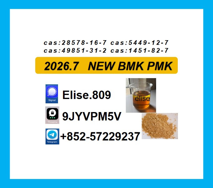 CAS 28578-16-7 BMK Indust...