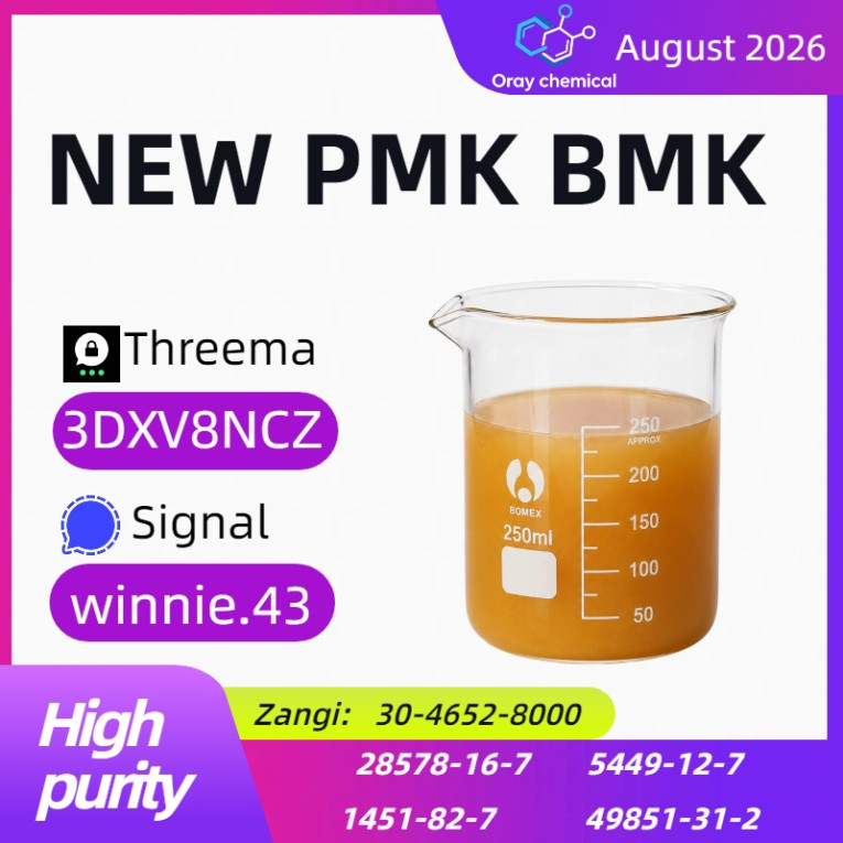 CAS 28578-16-7 PMK Oil |...