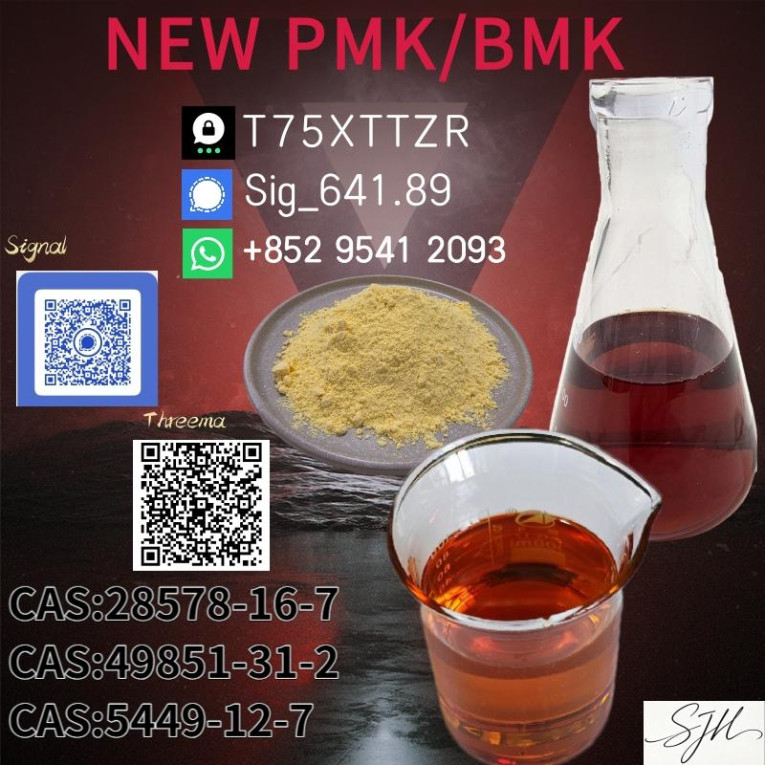 Top Quality PM.K CAS 2857...