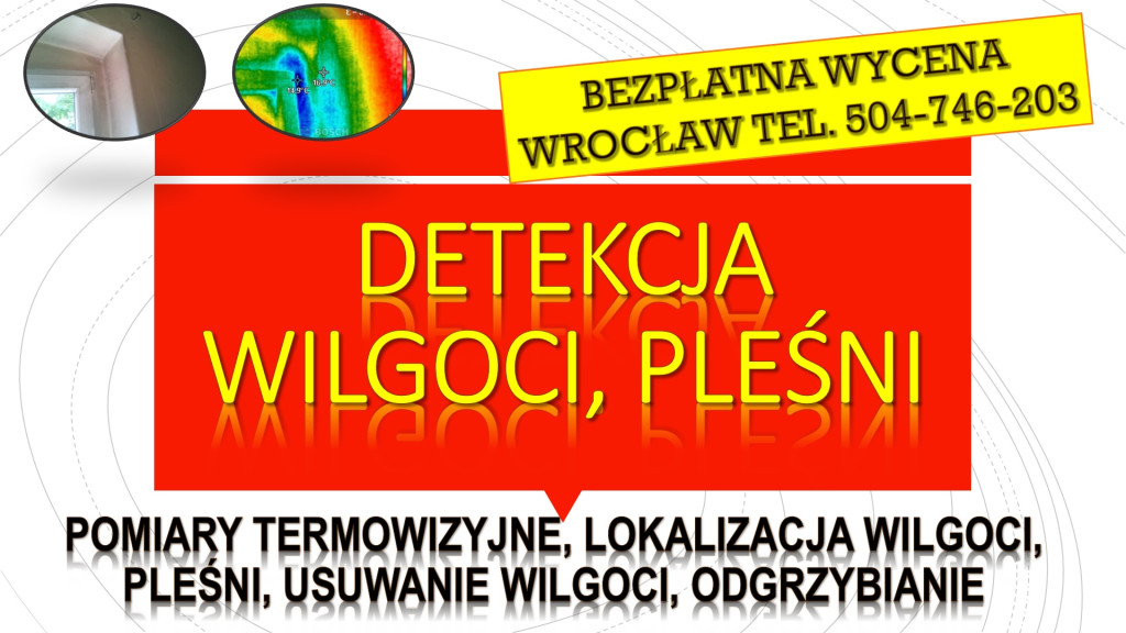Wykrycie pleśni, tel. 504...