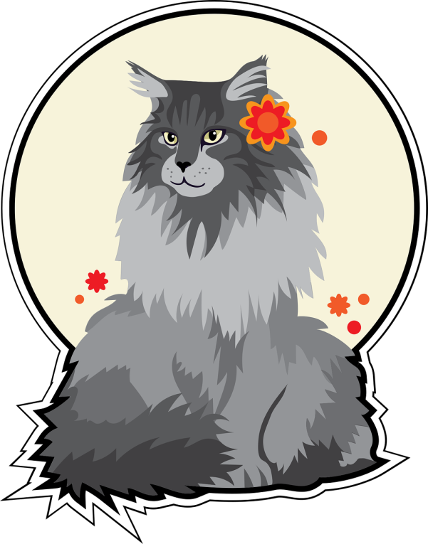 Koty z azylu do bezpłatne...