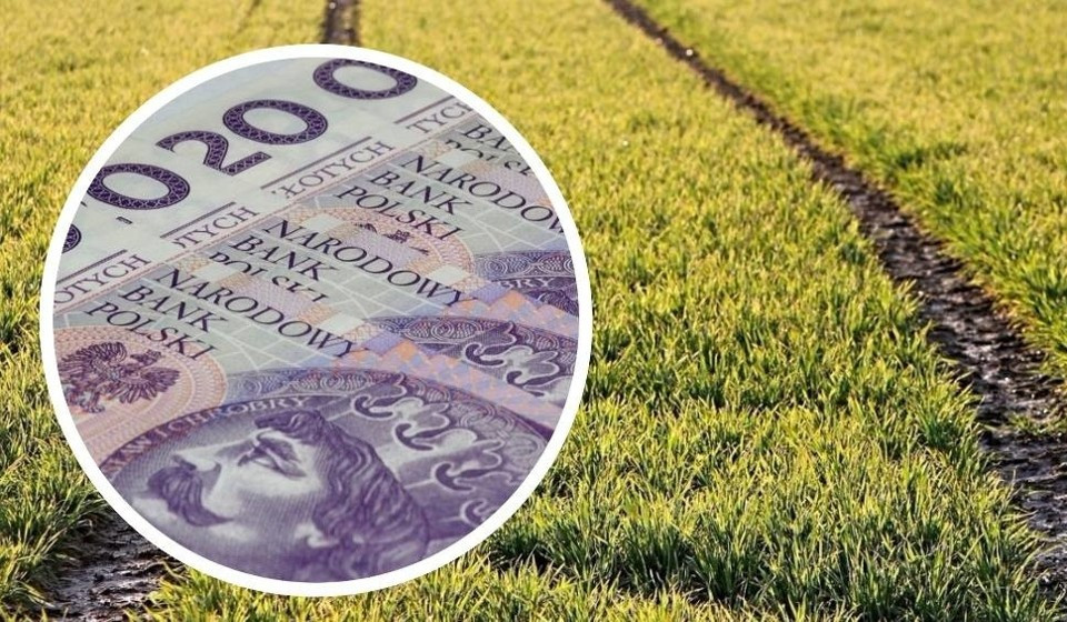 MASZ MAJĄTEK. BĄDŹ NIEZAL...