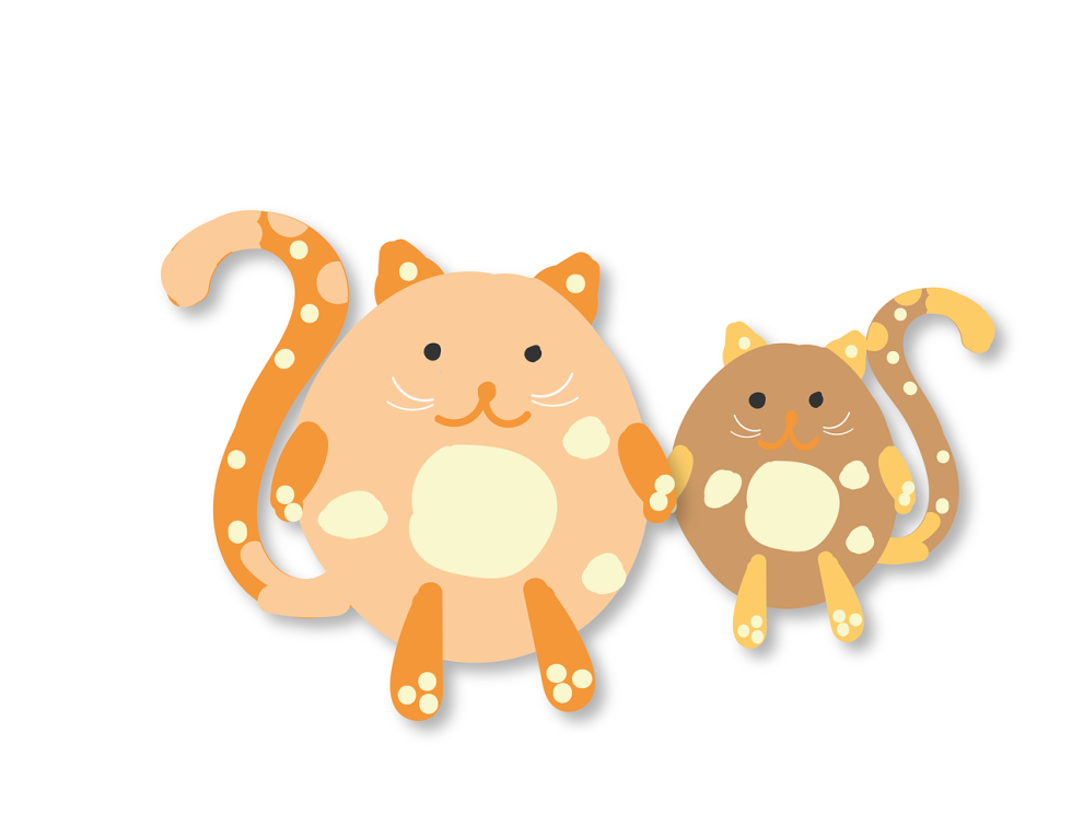 Wolontariusze potrzebni s...