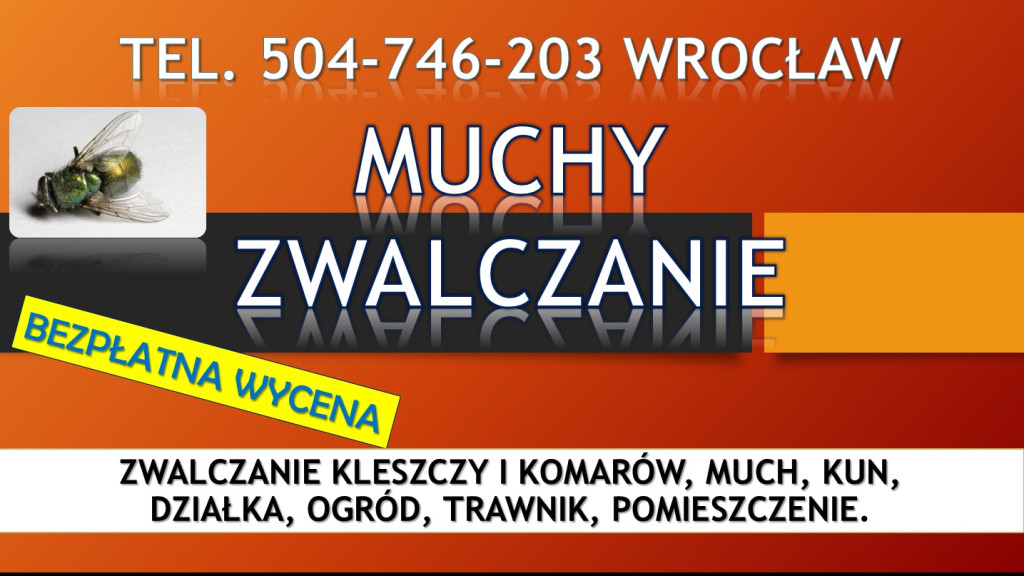 Firma zwalczająca muchy,...