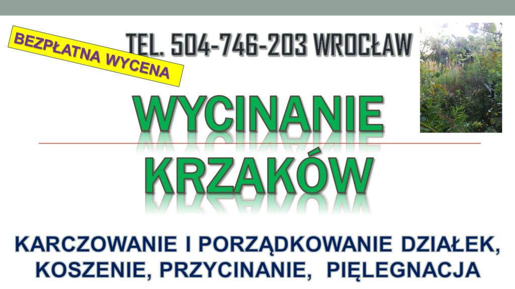 Wycinanie krzaków, cena,...