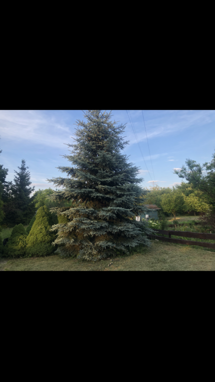 Rod rekreacyjna działka 2...