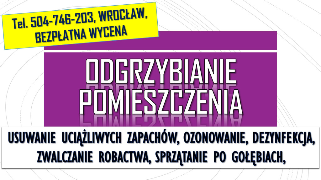 Odgrzybianie pomieszczeń,...
