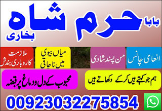 lost love back astrologer...
