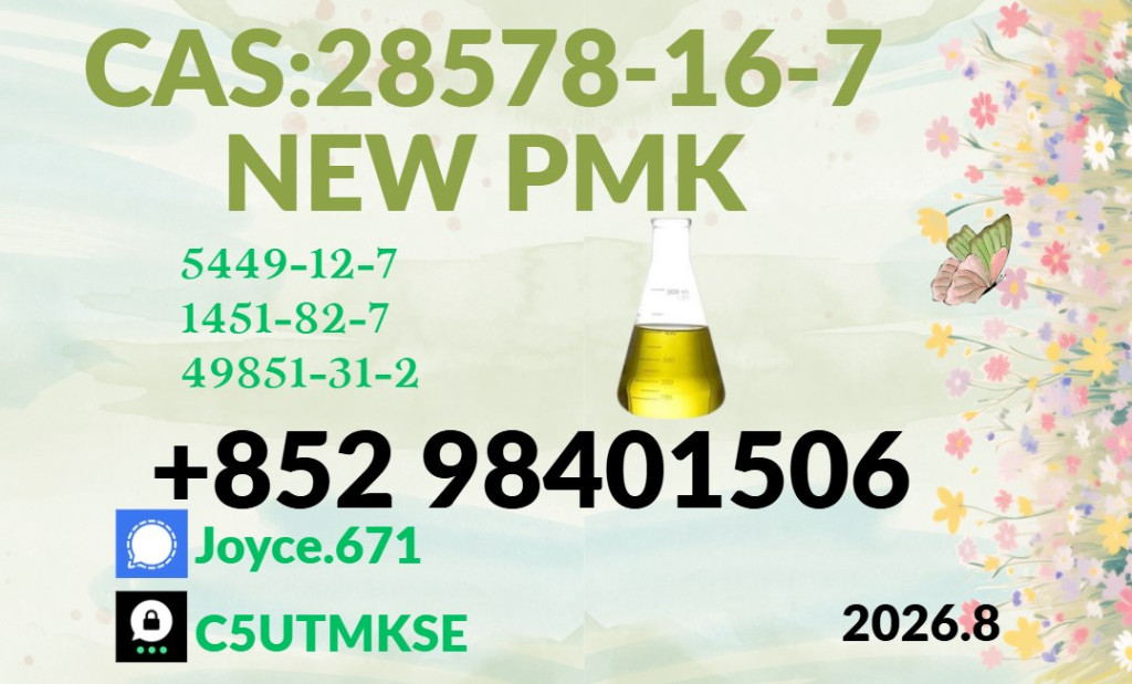 PMK Oil cas 285787-16-7 M...